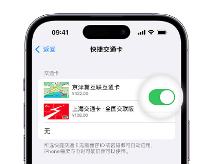 新兴apple维修点分享iPhone上更换Apple Pay快捷交通卡手绘卡面 