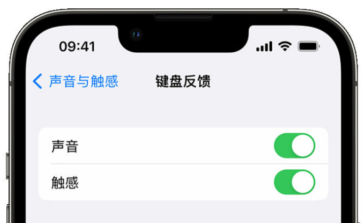 新兴苹果手机维修分享iPhone 14触感键盘使用方法 