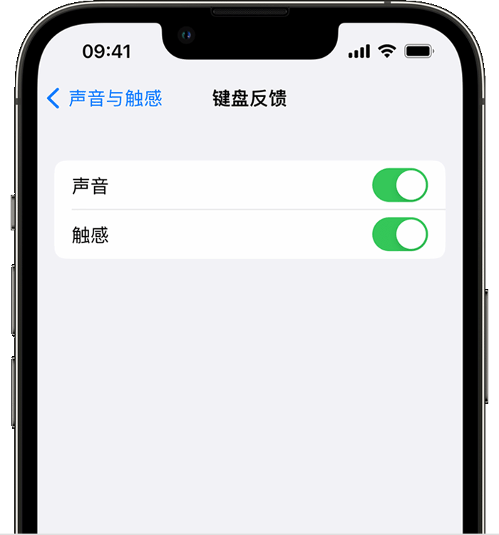 新兴苹果14维修店分享如何在 iPhone 14 机型中使用触感键盘 