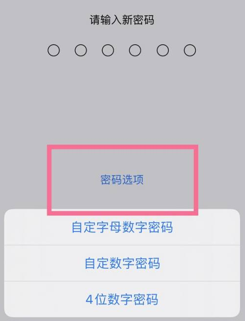 新兴苹果14维修分享iPhone 14plus设置密码的方法 