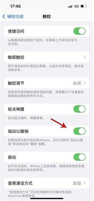 新兴苹果手机维修分享iPhone手机如何设置摇一摇删除文字 