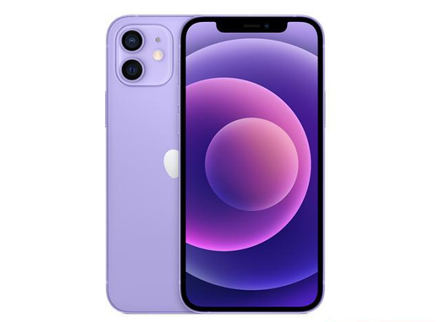 新兴苹果手机维修分享现阶段要不要入手紫色版iPhone12 